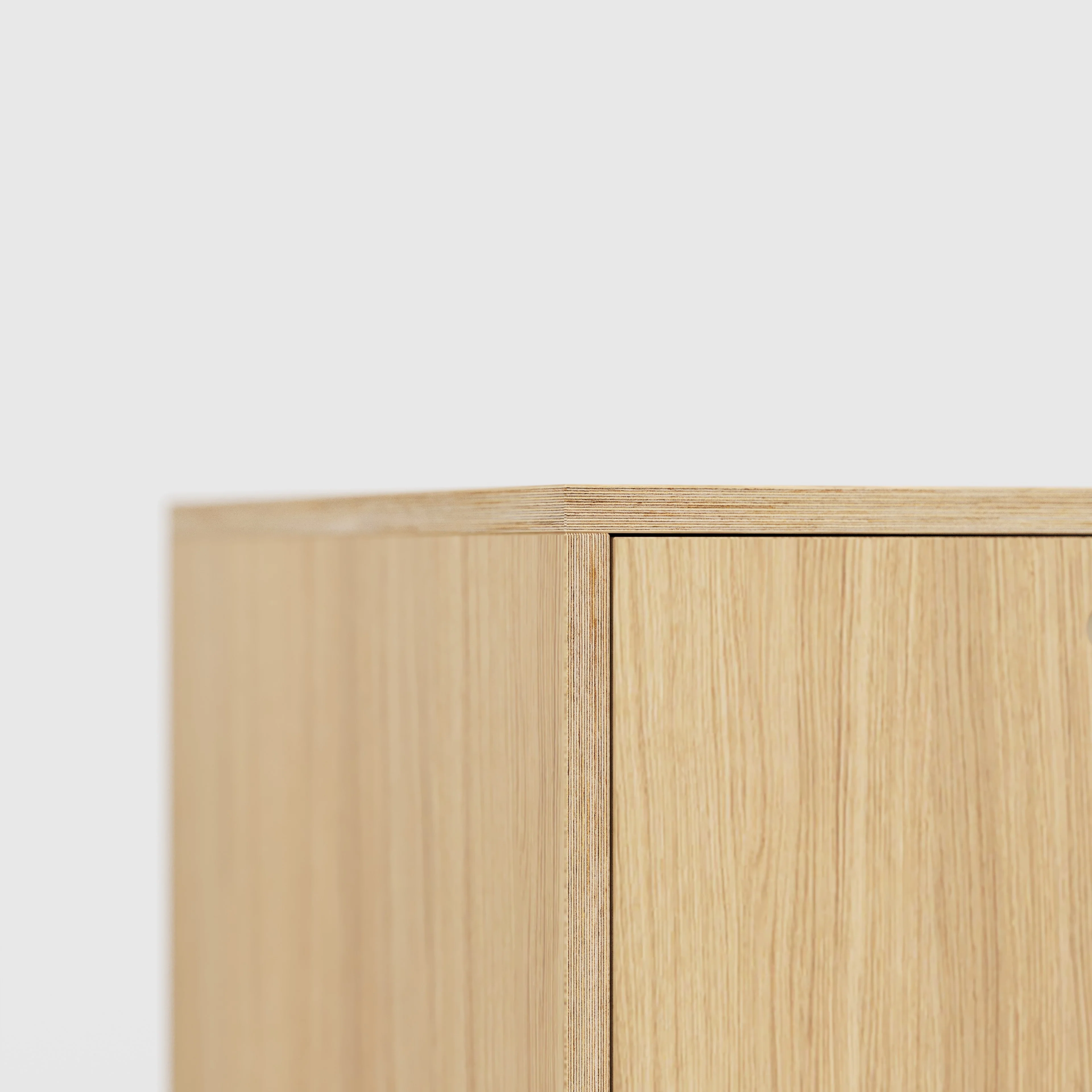 Plywood Desk with Storage Type 1 LH - Door - Plywood Oak - 1600(w) x 800(d) x 750(h) - Image 4
